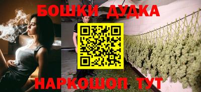 индика Беслан