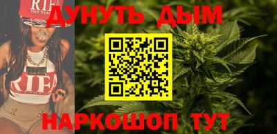 индика Беслан