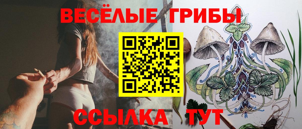 Галлюциногенные грибы ЛСД  Егорьевск 