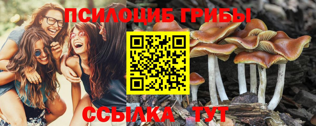 Псилоцибиновые грибы MAGIC MUSHROOMS Егорьевск