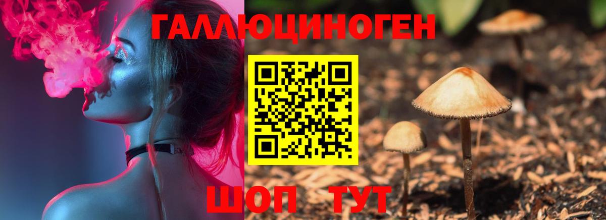 Галлюциногенные грибы ЛСД  Вход с VPN  Егорьевск 
