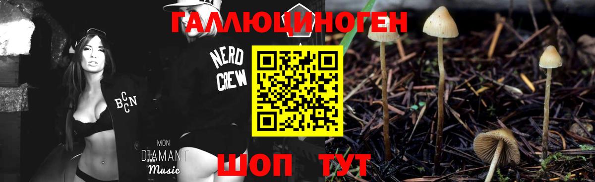 Егорьевск  МАРИХУАНА  Лсд 25  Гарик  Вход с VPN  Альфа-ПВП  NBOMe  Мяу-Мяу 