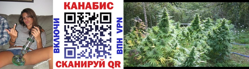 где купить наркоту  Егорьевск  Бошки Шишки OG Kush 