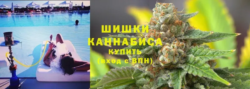 магазин  наркотиков  Егорьевск  Марихуана SATIVA & INDICA 